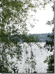 IMG_9710