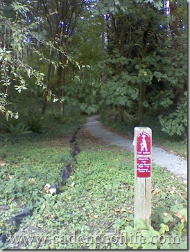 Trail picture www.cadenceoflife.com