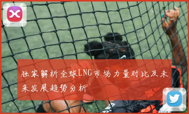 独家解析全球LNG市场力量对比及未来发展趋势分析
